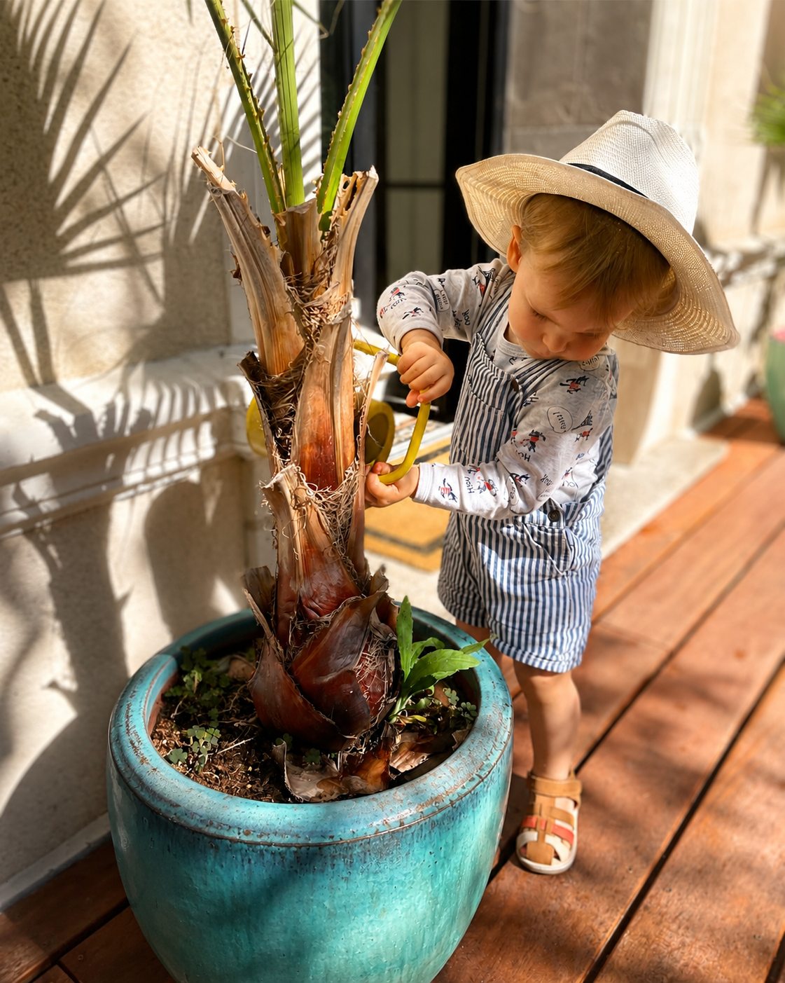 Un enfant joue près d'un palmier en pot, sur la terrasse de la Villa Folie